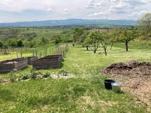 Eladó telek Miskolc 9315 nm