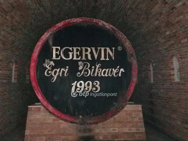 Eladó kereskedelmi és ipari ingatlan Eger, Belváros 6889 nm