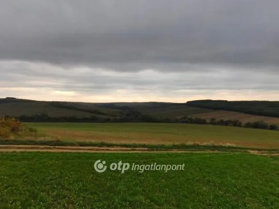 Eladó mezőgazdasági ingatlan Homrogd 65846 nm