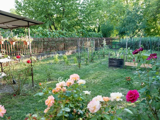 Eladó ház Miskolc, Hejőcsaba 197 nm