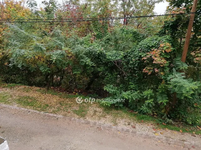 Eladó kereskedelmi és ipari ingatlan Miskolc, Belváros 30 nm