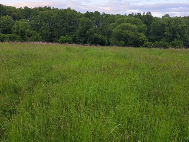 Eladó telek Környe 6866 nm