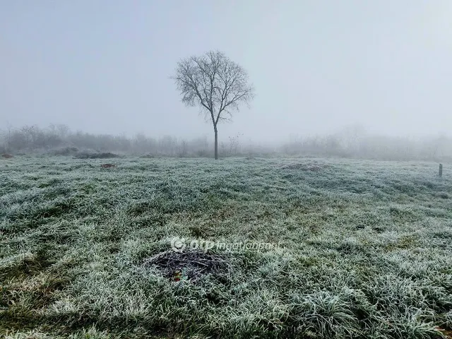 Eladó telek Szakáld 1871 nm