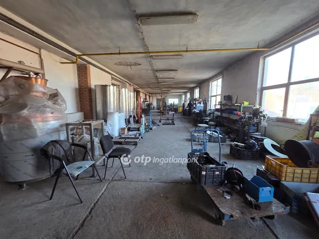 Eladó kereskedelmi és ipari ingatlan Halmaj 663 nm