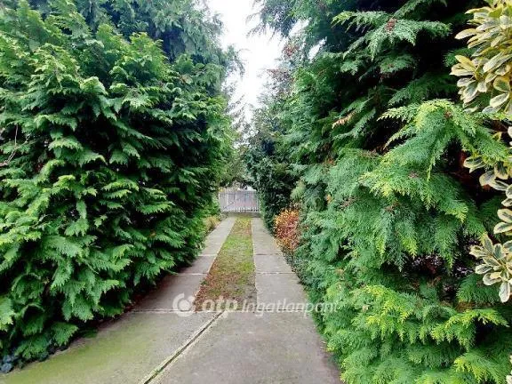 Eladó ház Alsózsolca 138 nm