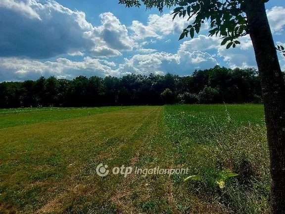 Eladó telek Bózsva 1165 nm