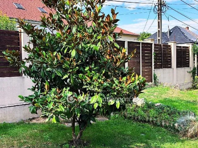 Eladó telek Miskolc, Belváros 854 nm