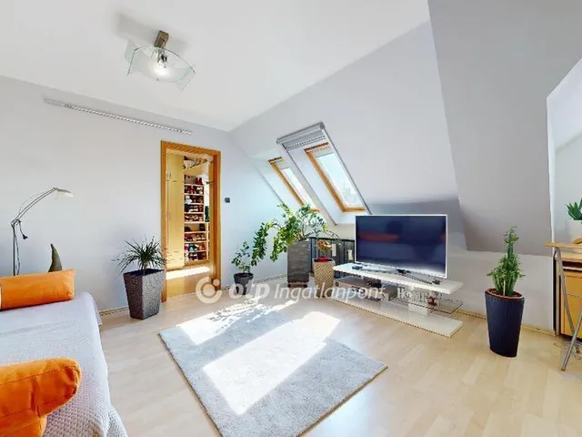 Eladó lakás Miskolc 214 nm