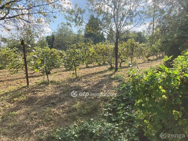 Eladó telek Miskolc, Miskolctapolca 841 nm