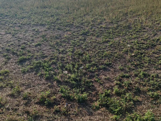 Eladó telek Kengyel 2100 nm