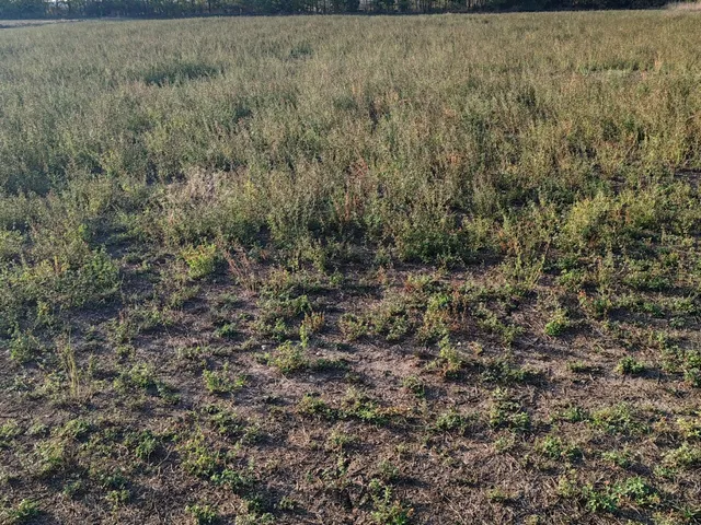 Eladó telek Kengyel 1800 nm