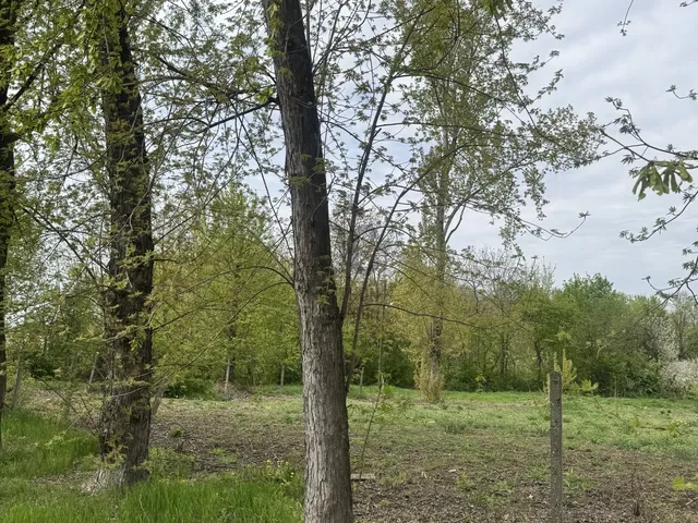 Eladó telek Szolnok 1778 nm