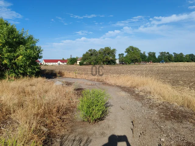 Eladó telek Tiszajenő 3100 nm