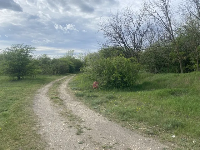 Eladó telek Dabas, Gyón 3603 nm