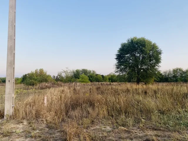 Eladó telek Dabas 1102 nm