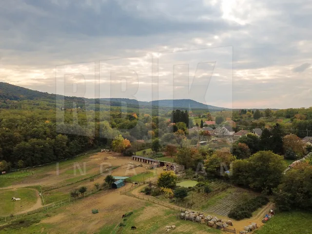 Eladó ház Sümegcsehi 250 nm