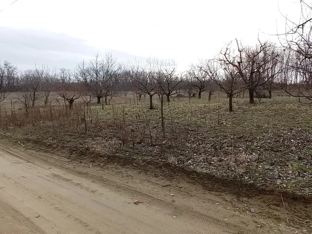 Eladó telek Nyíregyháza 4537 nm