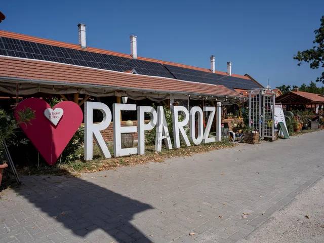 Eladó kereskedelmi és ipari ingatlan Nemesvita 500 nm