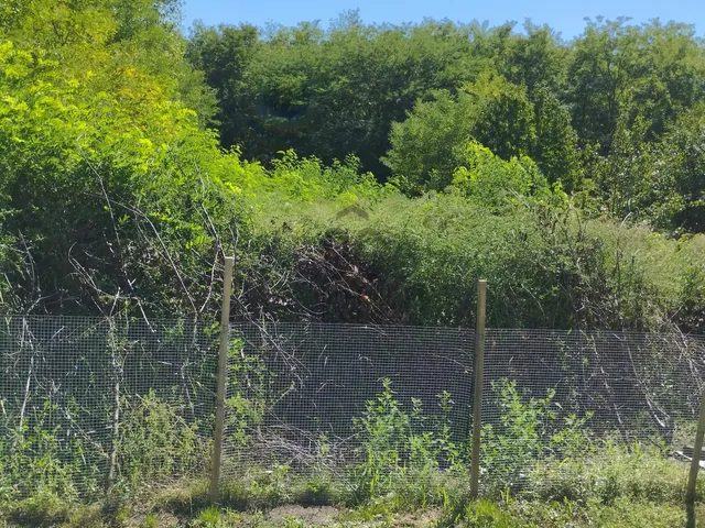 Eladó ház Pápateszér 100 nm