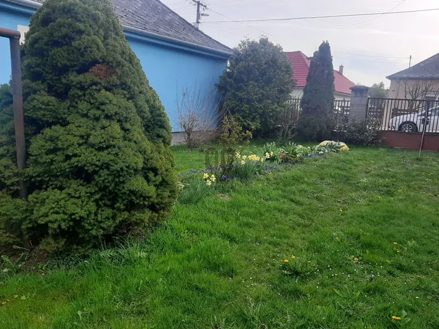 Eladó ház Borzavár 90 nm