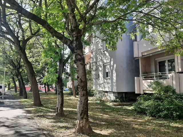 Eladó lakás Veszprém, Újtelep 78 nm