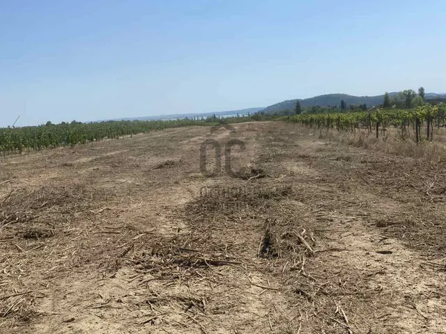 Eladó mezőgazdasági ingatlan Balatonfüred 8902 nm