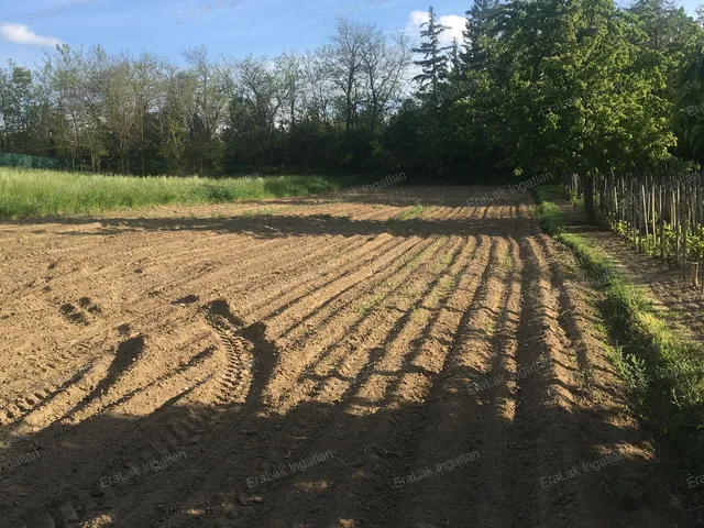 Eladó telek Győrság 1500 nm