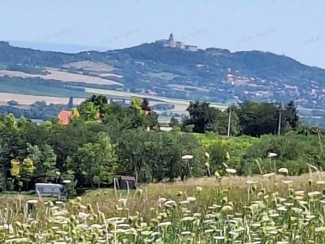 Eladó mezőgazdasági ingatlan Győrújbarát 2436 nm