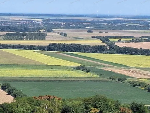 Eladó mezőgazdasági ingatlan Győrújbarát 2436 nm