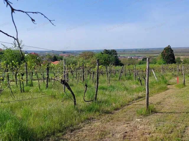 Eladó mezőgazdasági ingatlan Győr 2090 nm
