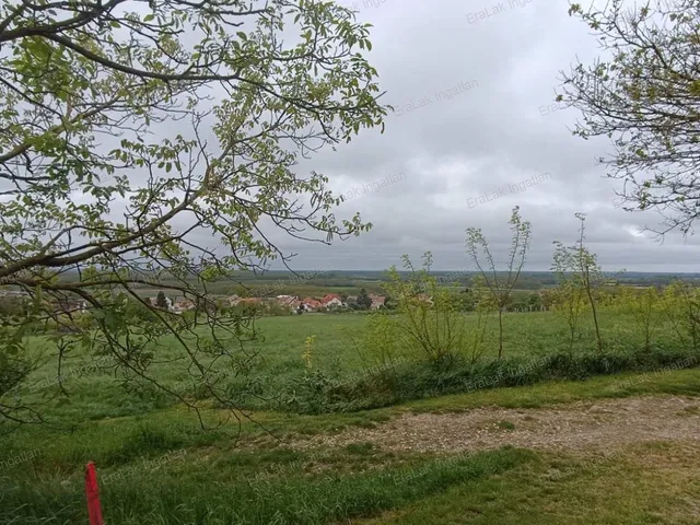 Eladó mezőgazdasági ingatlan Győr 2090 nm