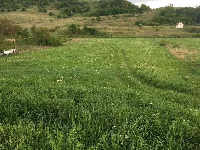 Eladó telek Varbó 2700 nm