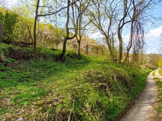 Eladó telek Szentendre 2926 nm