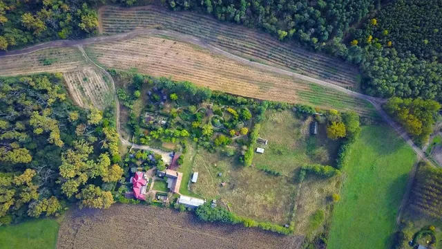 Eladó ház Debrecen, Haláp, Haláp Tanya 500 nm