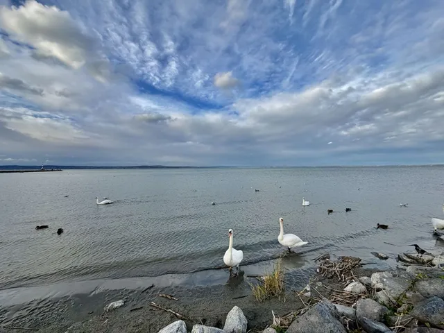 Eladó ház Siófok 84 nm