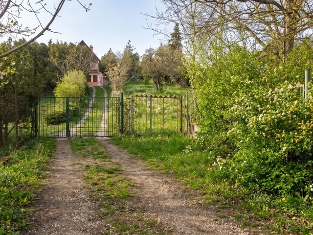 Eladó mezőgazdasági ingatlan Dunabogdány 1435 nm