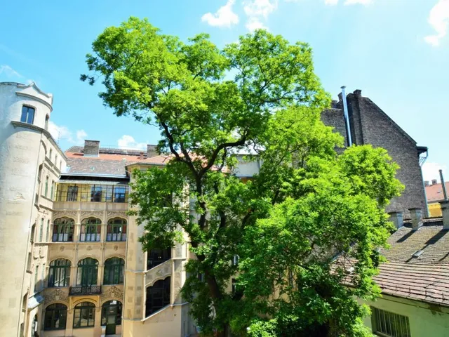 Eladó lakás Budapest VI. kerület 120 nm