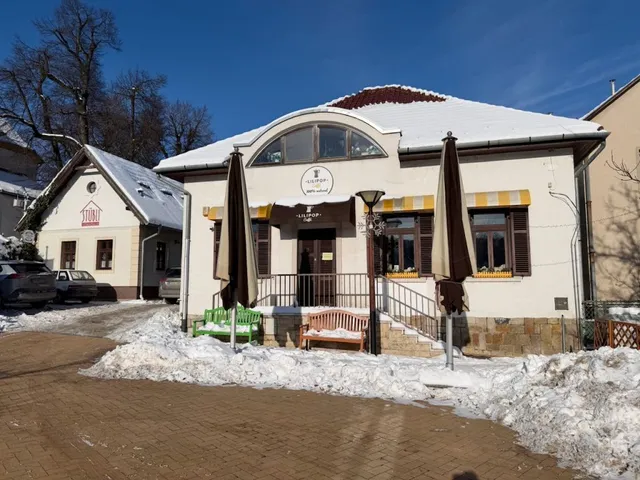 Eladó kereskedelmi és ipari ingatlan Nagykovácsi 167 nm