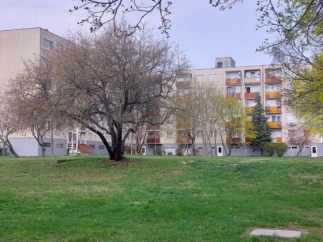 Eladó lakás Szentendre, Püspökmajori lakótelep 55 nm